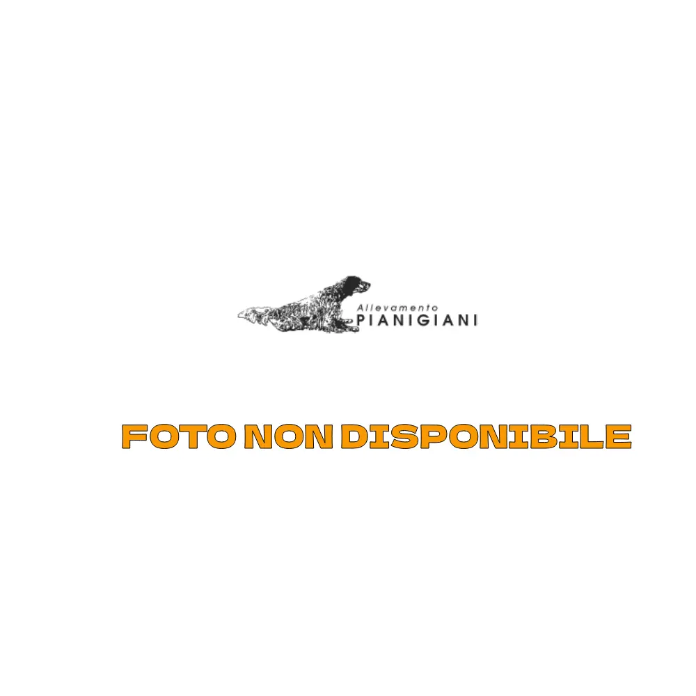 Cucciolata del 08/05/2025