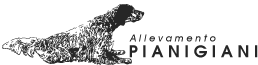 Allevamento Pianigiani