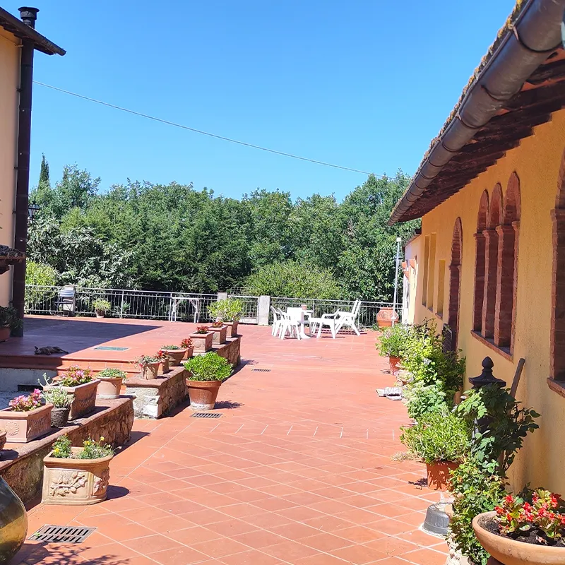 Pensione cani pianigiani