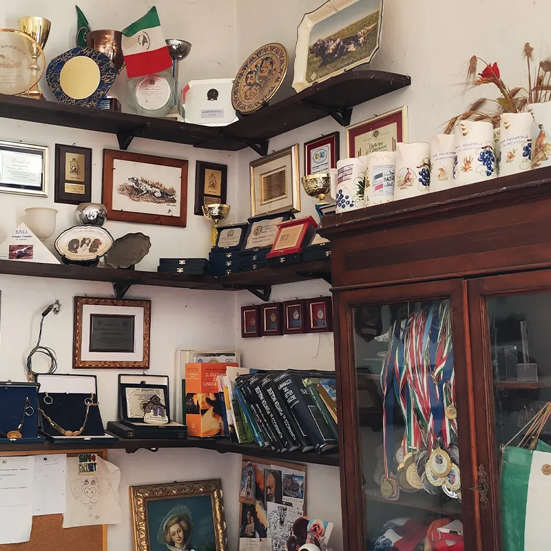 Allevamento pianigiani